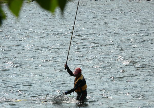 �O�ؓ���̈��ނ�