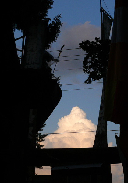 ����t����u�R�Ɠ����_