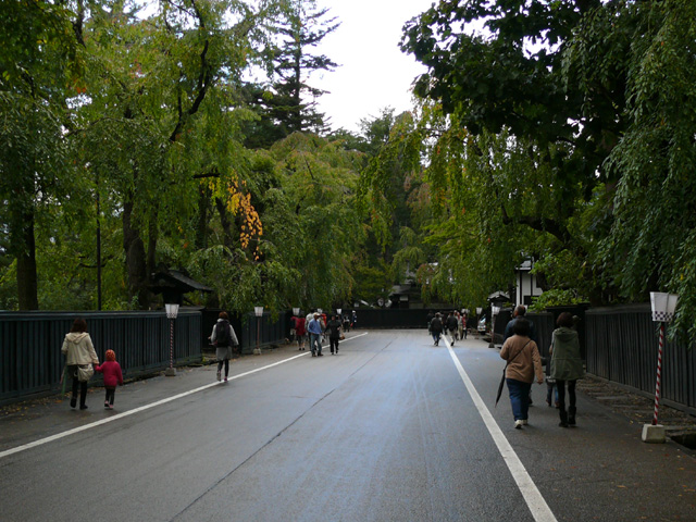 �����y��